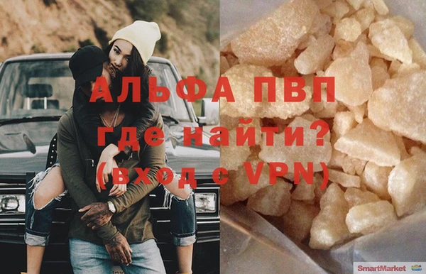 ГАЛЛЮЦИНОГЕННЫЕ ГРИБЫ Заволжье