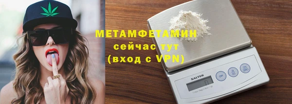 индика Медвежьегорск