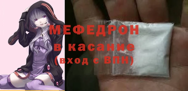 индика Медвежьегорск