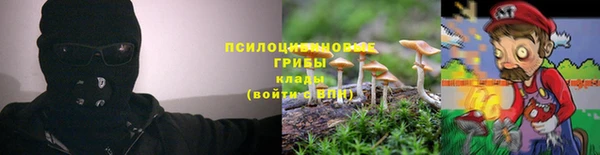 индика Медвежьегорск