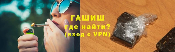 индика Медвежьегорск