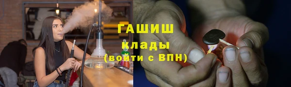 индика Бердск
