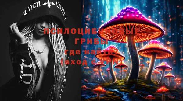 индика Медвежьегорск