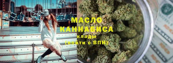 индика Медвежьегорск