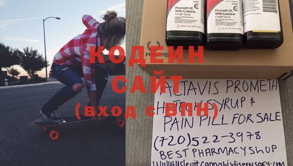 индика Медвежьегорск