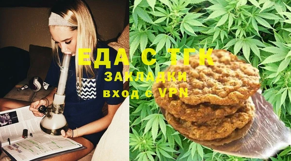 индика Медвежьегорск