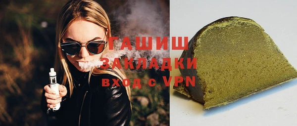 индика Медвежьегорск